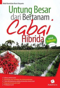 Untung besar dari bertanam cabai hibrida untuk industri