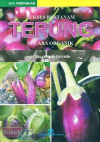 SUkses Bertanam Terung Secara Organik