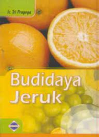 Budidaya Jeruk