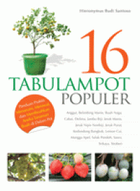16 Tabulampot Populer