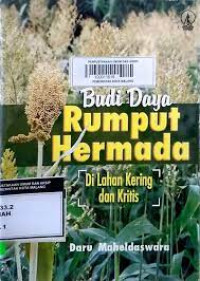 Budidaya Rumput Hermada di lahan kritis dan kering